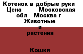 Котенок в добрые руки › Цена ­ 50 - Московская обл., Москва г. Животные и растения » Кошки   . Московская обл.